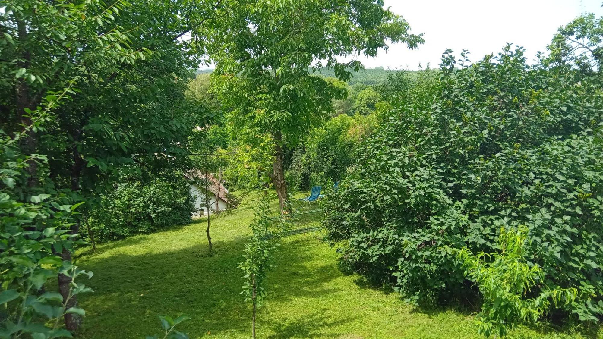 Apartamento Csigahaz Vendeghaz *